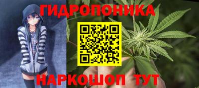 мяу мяу кристалл Гусь-Хрустальный