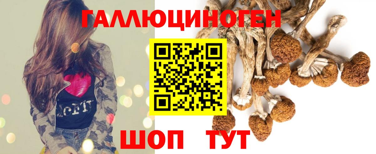 Галлюциногенные грибы мухоморы Железноводск