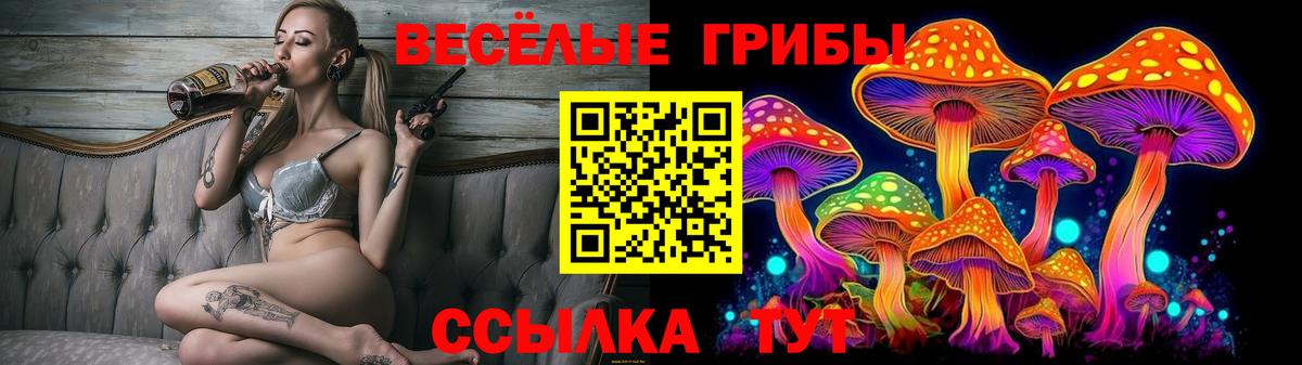 Железноводск  Псилоцибиновые грибы ЛСД  Вход с VPN  Псилоцибиновые грибы мухоморы 